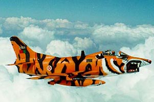A Fiat G 91 R3 in the colours of a Portugal squadron during a Tiger Meet